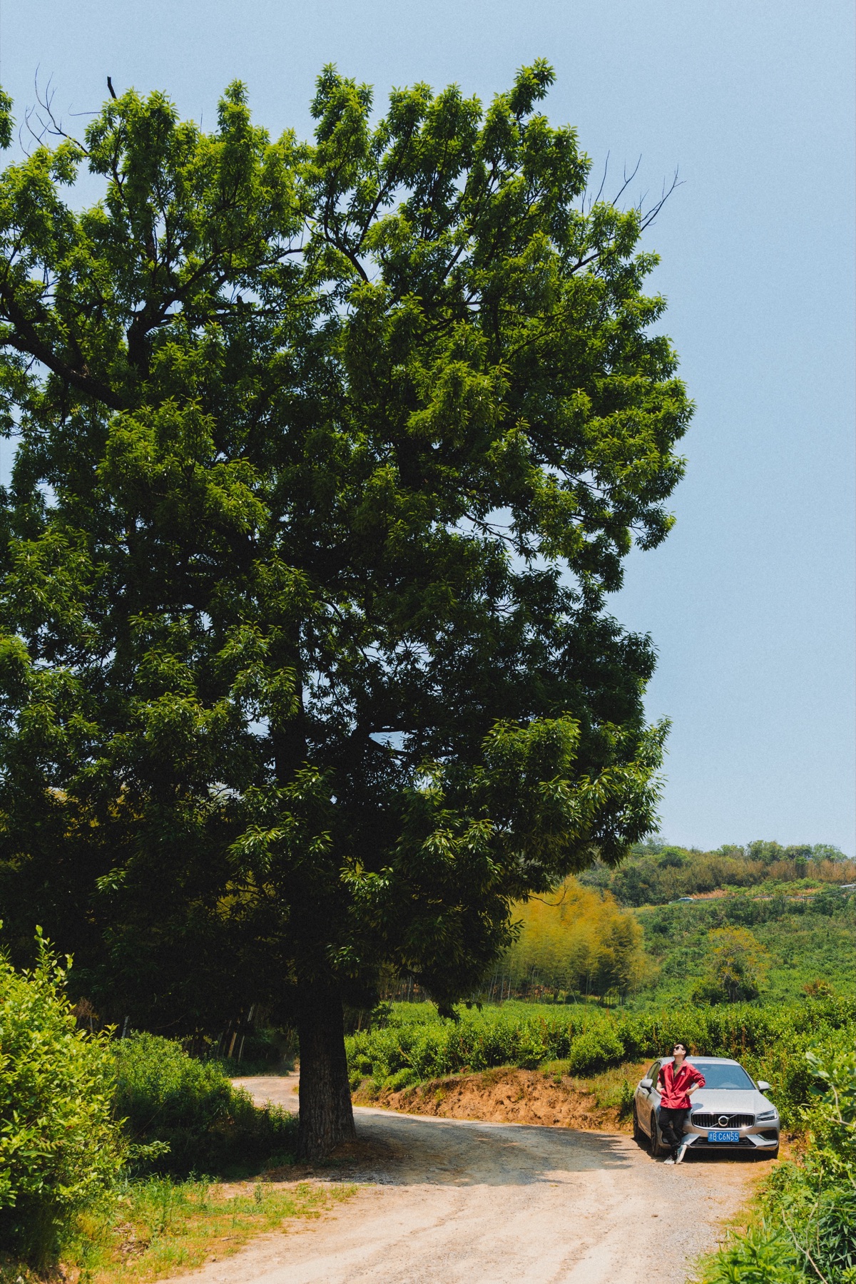 DSC05548